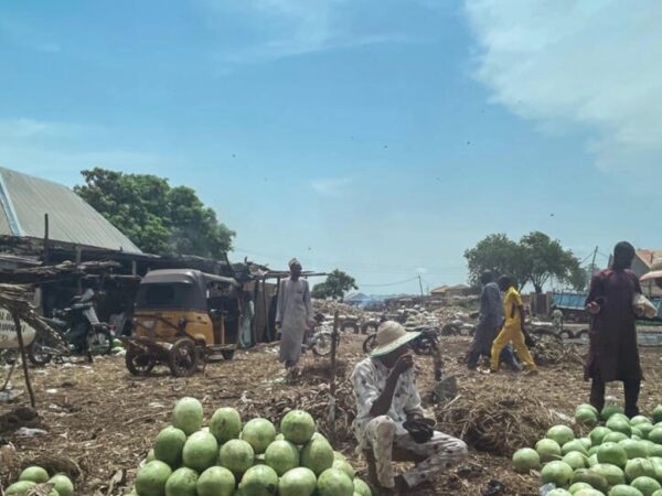 Nigeria: Désarroi à la frontière avec le Niger