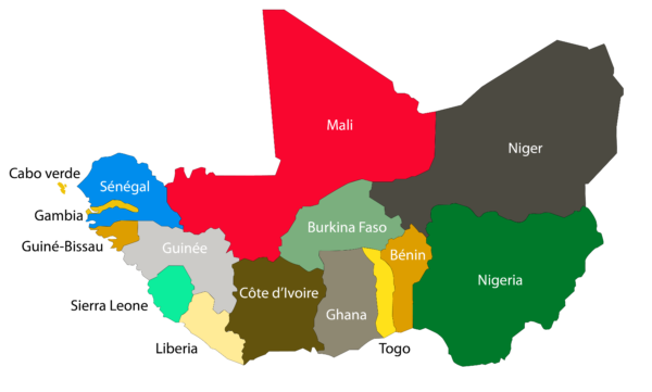 Coup d’état au Niger : Qui décide de quoi à la CEDEAO?