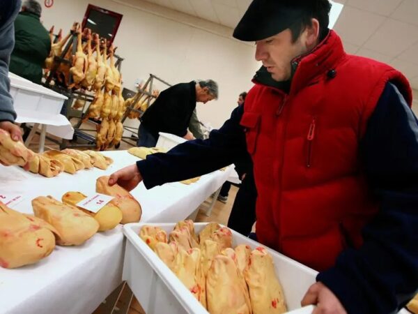 Suisse: Une organisation de défense des animaux veut interdire l’importation du « Foie gras ».