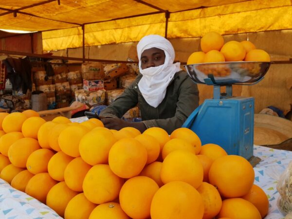 Niger: Lancement de la foire des maraîchers d’Agadez