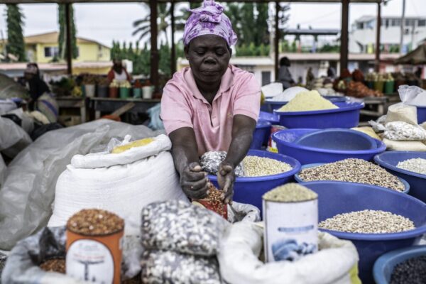 Togo:  Le gouvernement prévoit 13 milliards FCFA pour assurer la sécurité alimentaire en 2024