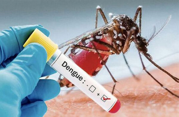 Mali : Face aux nouveaux défis de santé publique, l’État annonce une riposte contre le paludisme et la dengue.